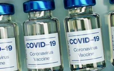 To vaccinate or not to vaccinate, that is the question !