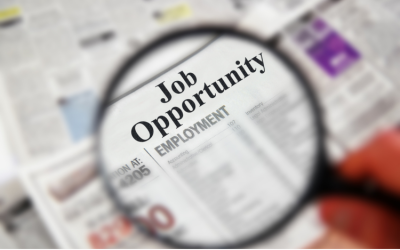 E.L Index: Executive Employment Trends in Australia – October 2024